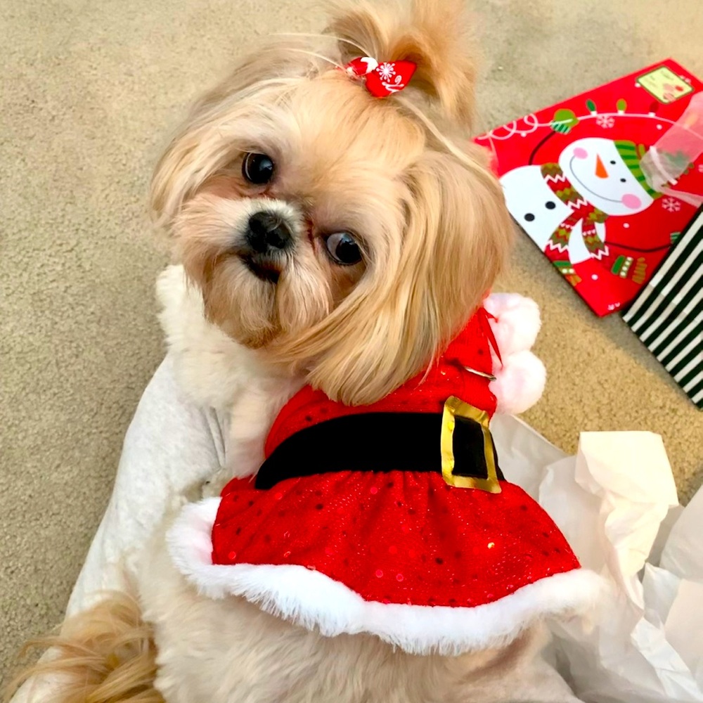 Friends Forever Santa Dress - S